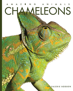 Amazing Animals (2022): Chameleons