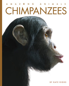 Amazing Animals (2022): Chimpanzees