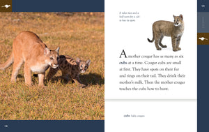 Amazing Animals (2022): Cougars