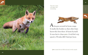 Amazing Animals (2022): Foxes