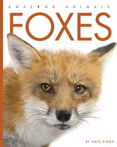 Amazing Animals (2022): Foxes