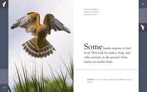 Amazing Animals (2022): Hawks