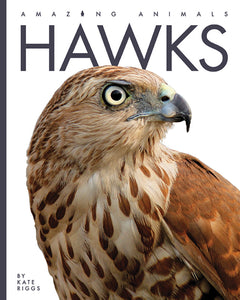 Amazing Animals (2022): Hawks