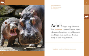 Amazing Animals (2022): Hippopotamuses