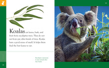 Laden Sie das Bild in den Galerie-Viewer, Erstaunliche Tiere (2022): Koalas
