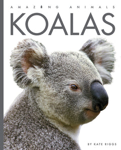 Amazing Animals (2022): Koalas