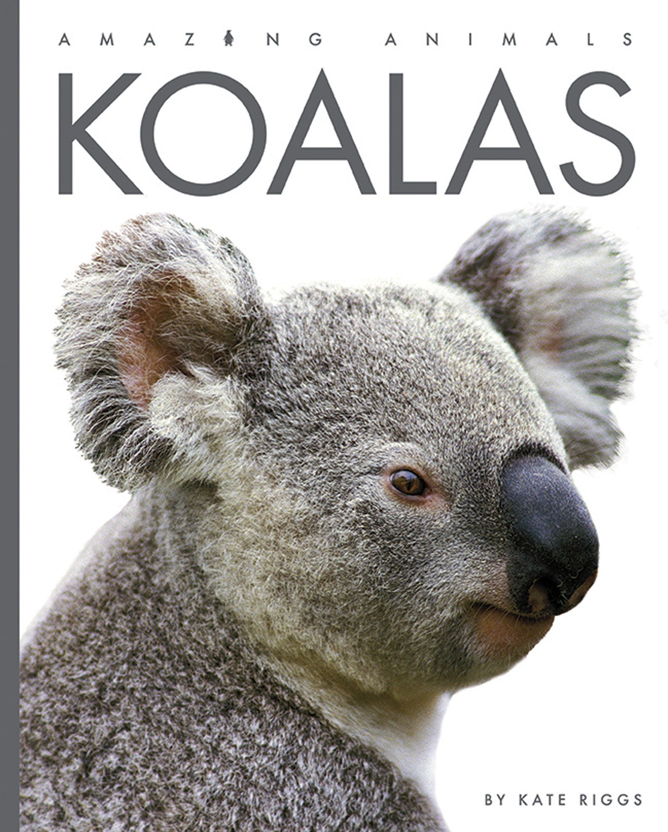Erstaunliche Tiere (2022): Koalas