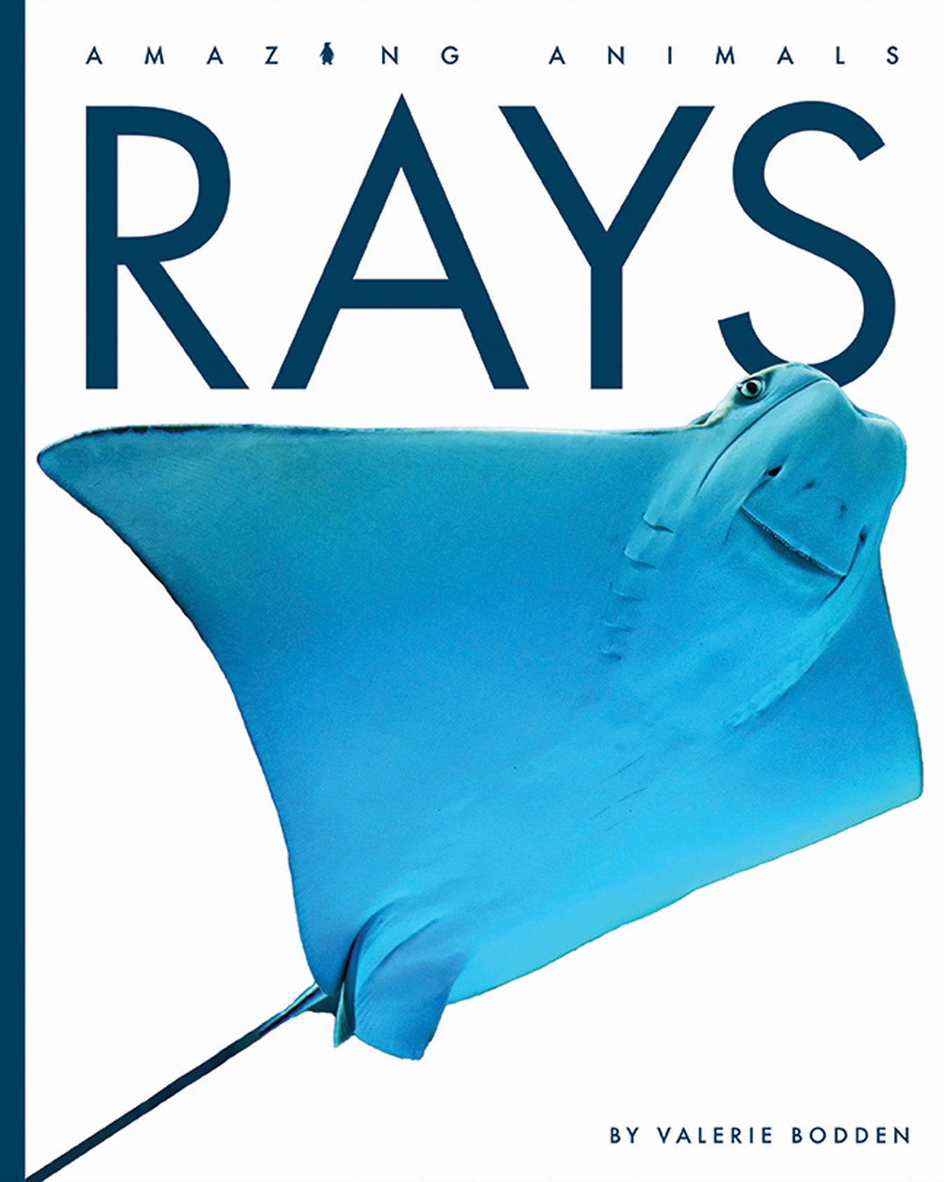 Amazing Animals (2022): Rays