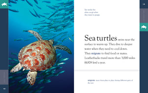 Amazing Animals (2022): Sea Turtles