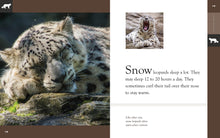 Laden Sie das Bild in den Galerie-Viewer, Erstaunliche Tiere (2022): Schneeleoparden

