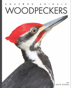 Amazing Animals (2022): Woodpeckers