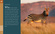Laden Sie das Bild in den Galerie-Viewer, Erstaunliche Tiere (2022): Zebras
