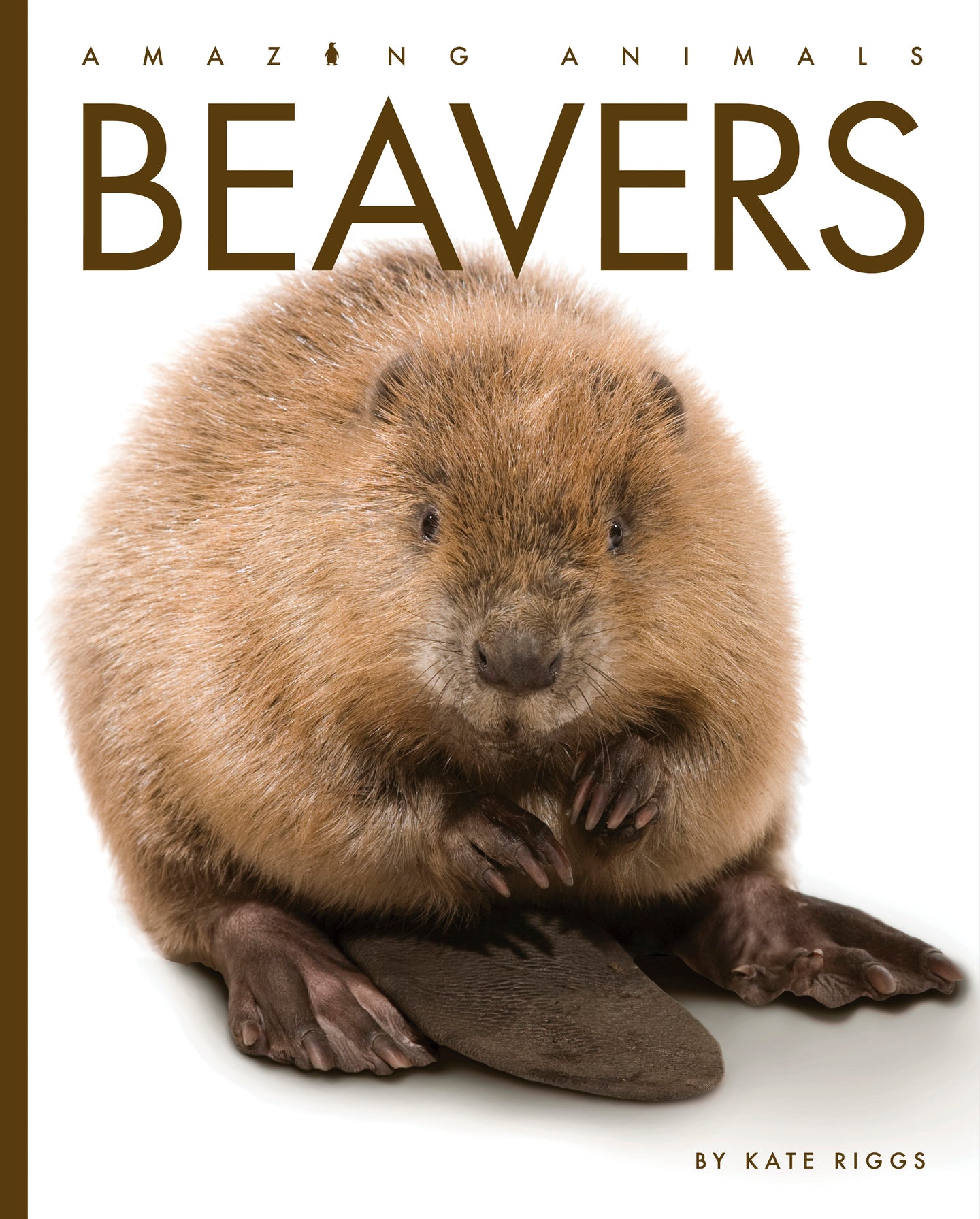 Amazing Animals (2022): Beavers