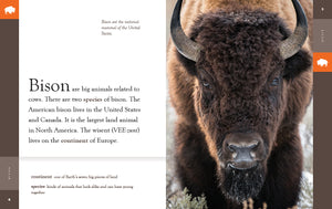 Erstaunliche Tiere (2022): Bison