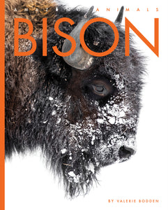 Amazing Animals (2022): Bison
