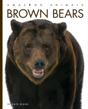 Laden Sie das Bild in den Galerie-Viewer, Erstaunliche Tiere (2022): Braunbären
