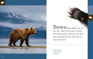 Amazing Animals (2022): Brown Bears