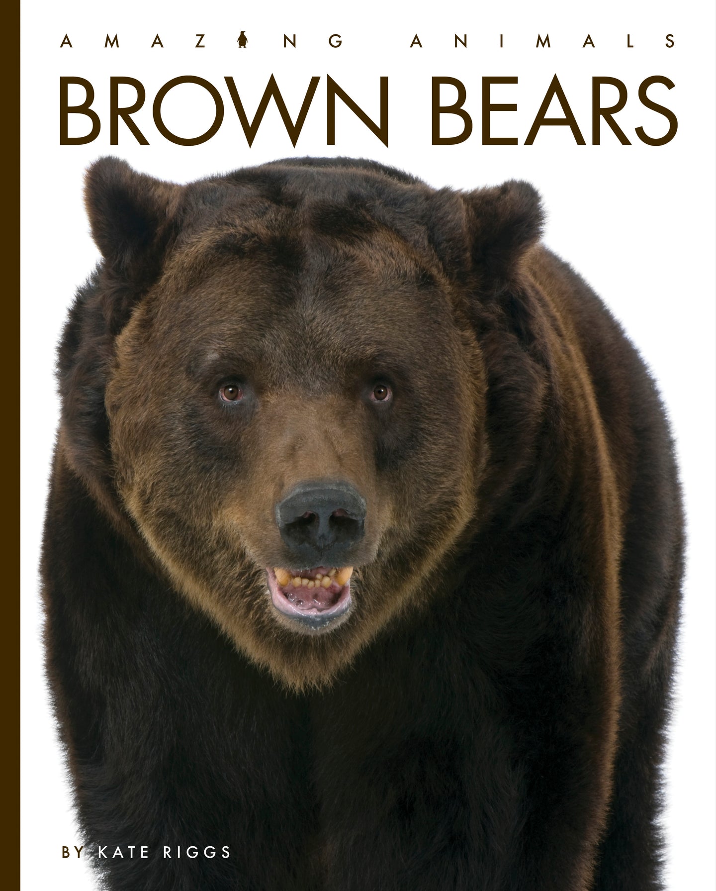 Amazing Animals (2022): Brown Bears