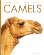 Laden Sie das Bild in den Galerie-Viewer, Erstaunliche Tiere (2022): Kamele
