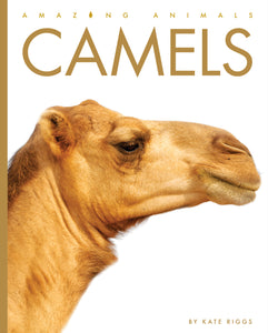 Amazing Animals (2022): Camels