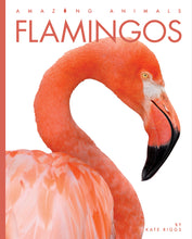 Laden Sie das Bild in den Galerie-Viewer, Erstaunliche Tiere (2022): Flamingos
