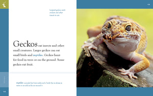 Erstaunliche Tiere (2022): Geckos