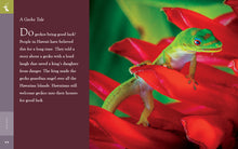 Laden Sie das Bild in den Galerie-Viewer, Erstaunliche Tiere (2022): Geckos
