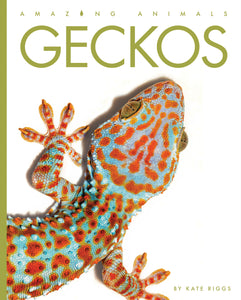 Amazing Animals (2022): Geckos