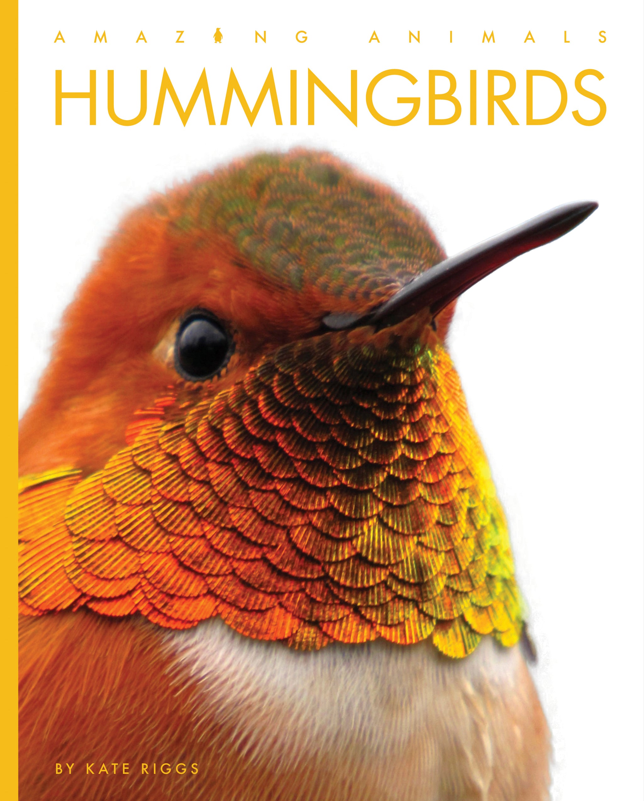 (未使用･未開封品)Video Guide to Hummingbirds [DVD] Amazon.com: Nature: Hummingbirds : ., .: Movies & TV