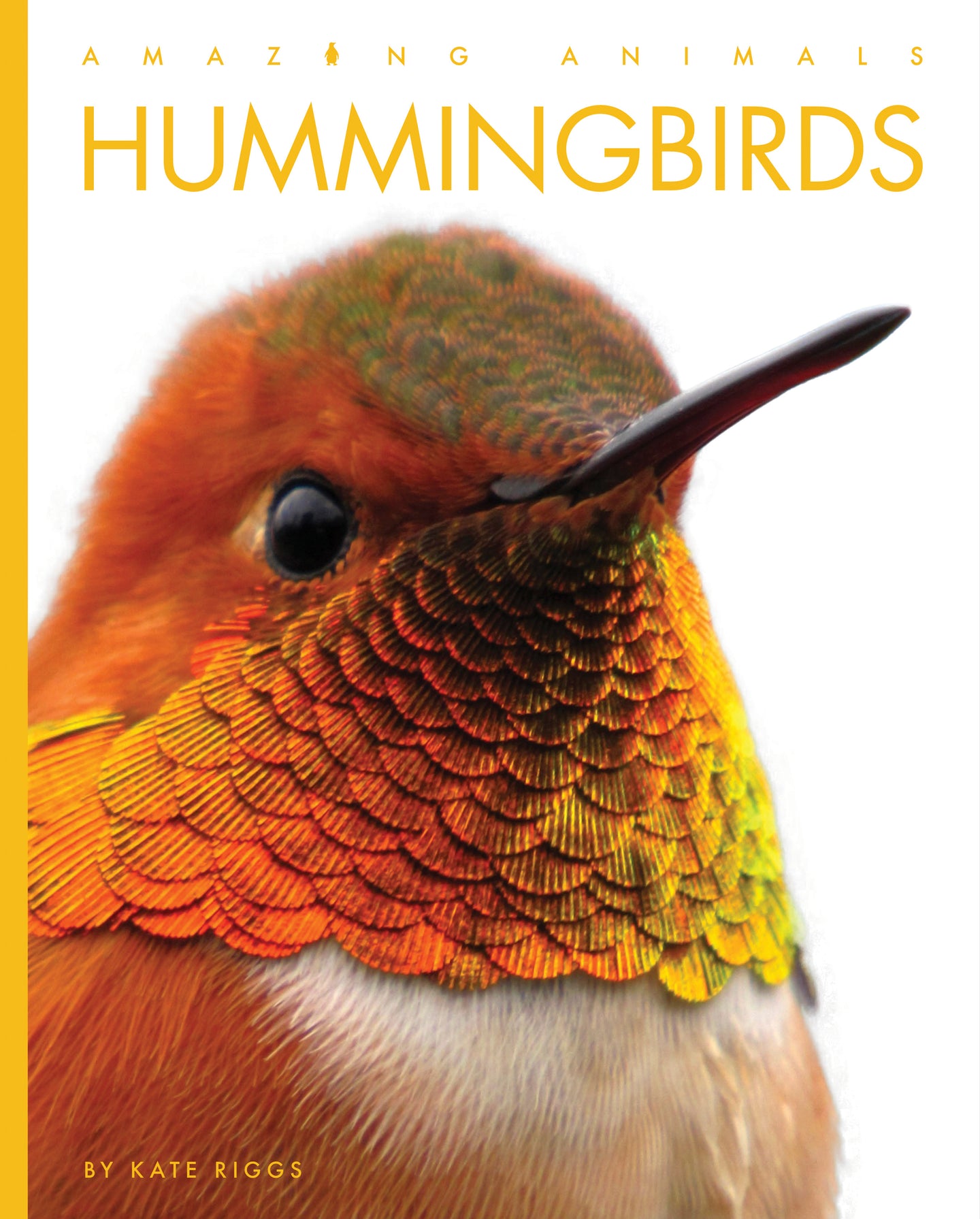 Amazing Animals (2022): Hummingbirds