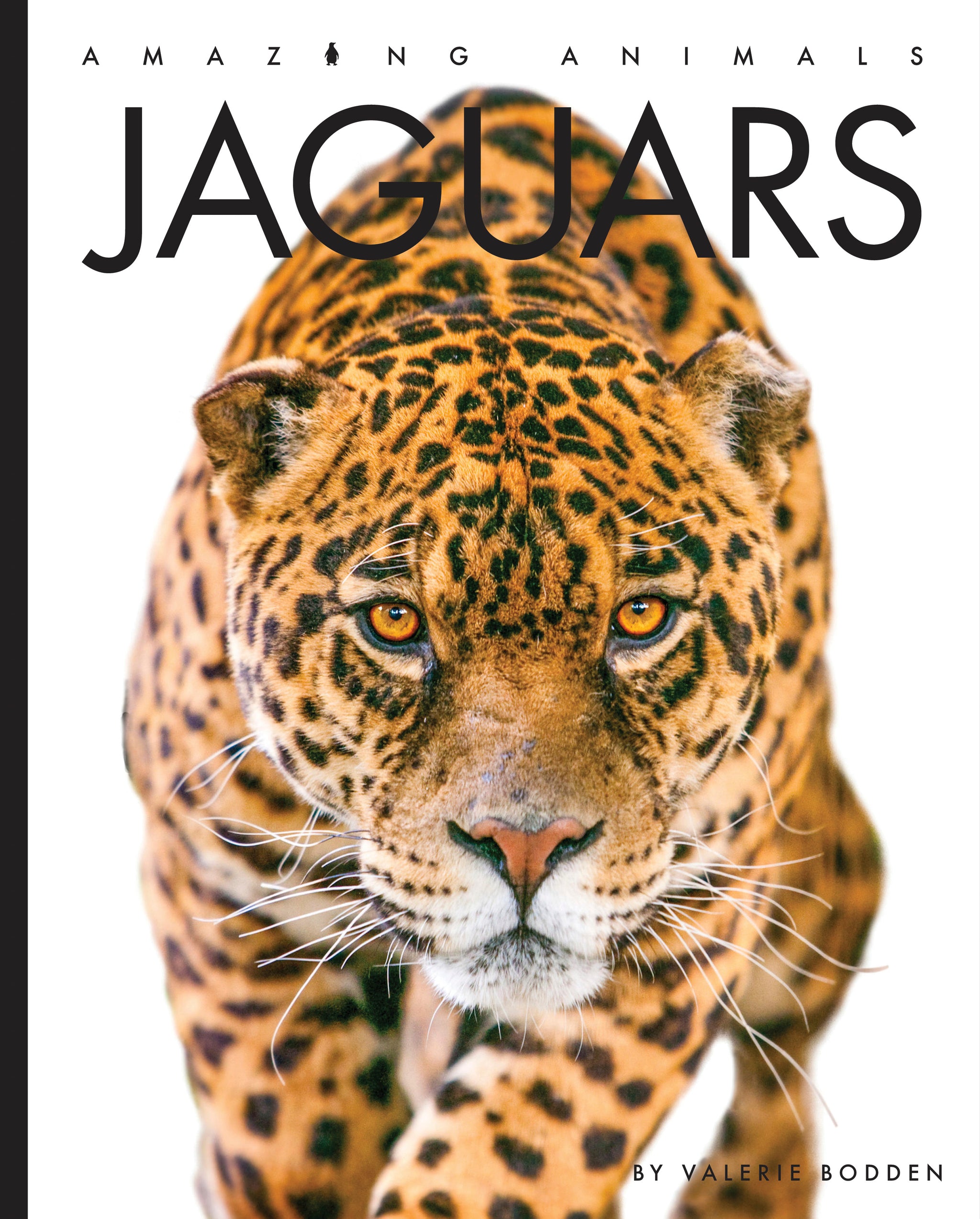 jaguar life cycle