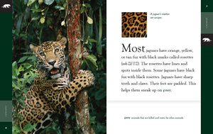 Erstaunliche Tiere (2022): Jaguare