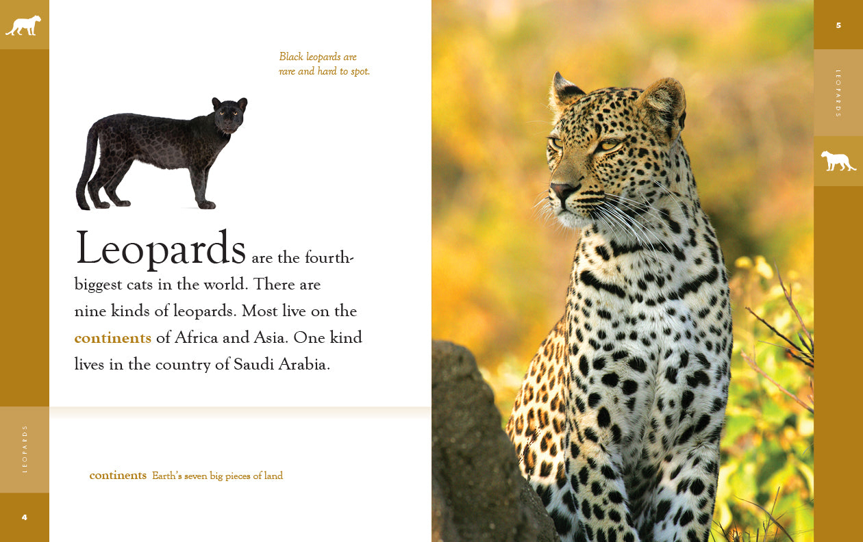 Kate Leopardas Leopards – The Creative Company