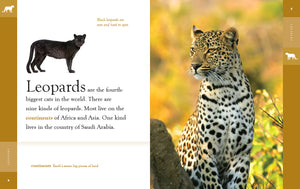 Amazing Animals (2022): Leopards