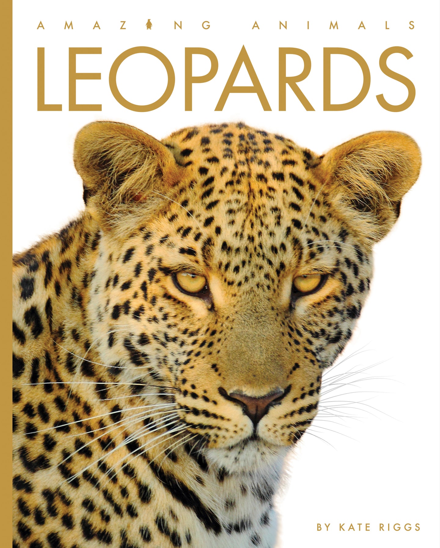 Erstaunliche Tiere (2022): Leoparden