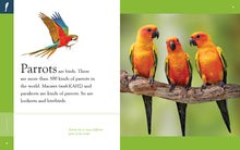 Laden Sie das Bild in den Galerie-Viewer, Erstaunliche Tiere (2022): Papageien
