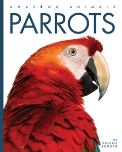 Amazing Animals (2022): Parrots