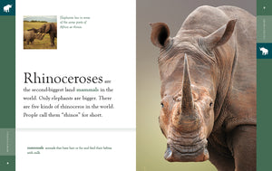 Amazing Animals (2022): Rhinoceroses