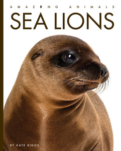 Amazing Animals (2022): Sea Lions