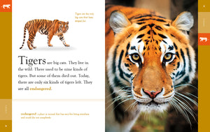 Amazing Animals (2022): Tigers