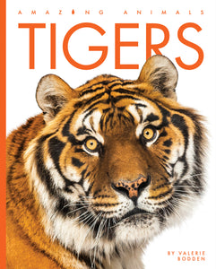 Amazing Animals (2022): Tigers