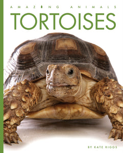 Amazing Animals (2022): Tortoises