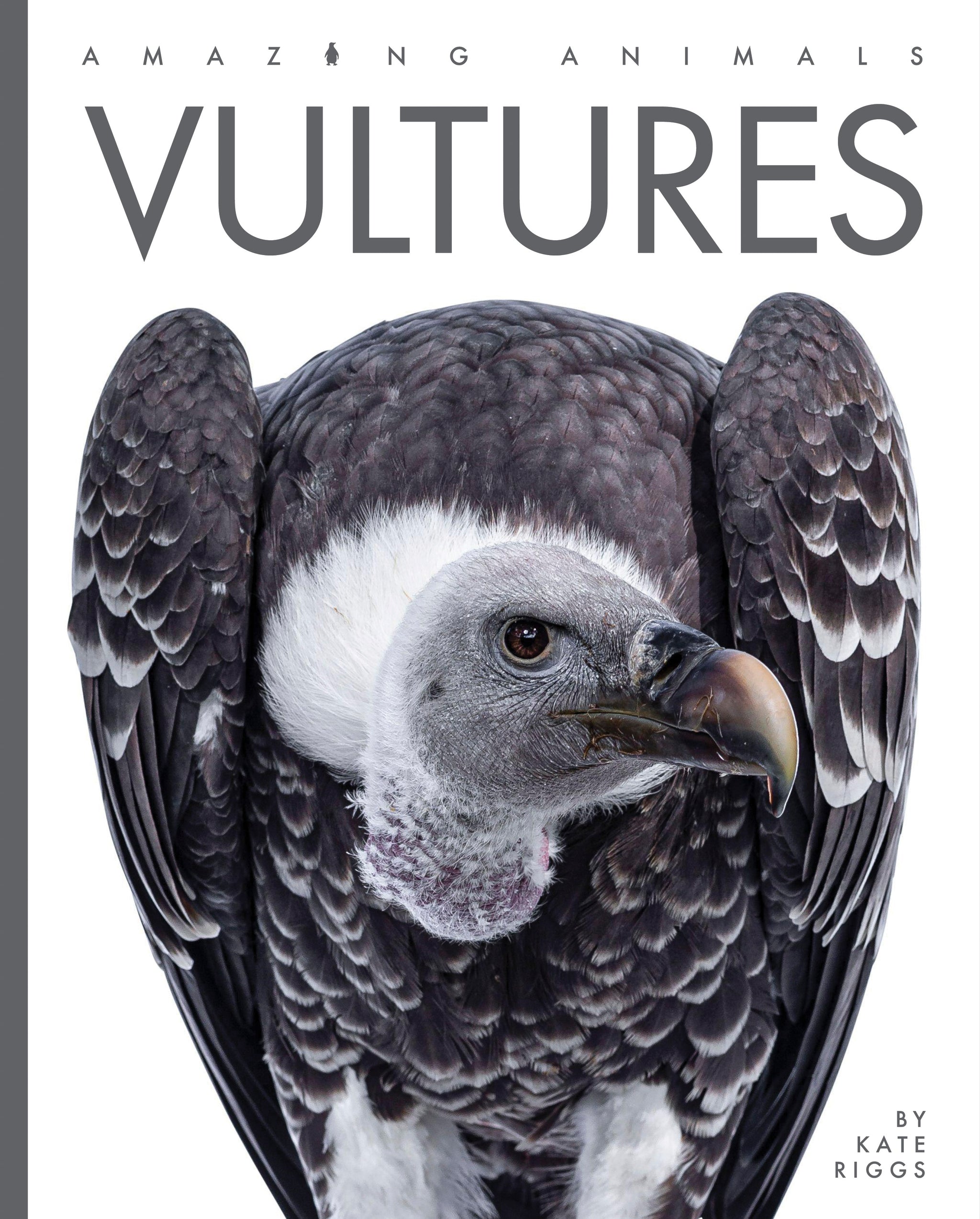 Vultures – The Creative Company