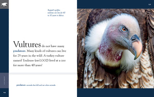 Amazing Animals (2022): Vultures