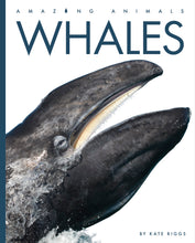 Laden Sie das Bild in den Galerie-Viewer, Erstaunliche Tiere (2022): Wale
