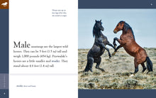 Laden Sie das Bild in den Galerie-Viewer, Erstaunliche Tiere (2022): Wilde Pferde
