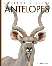 Laden Sie das Bild in den Galerie-Viewer, Erstaunliche Tiere (2022): Antilopen
