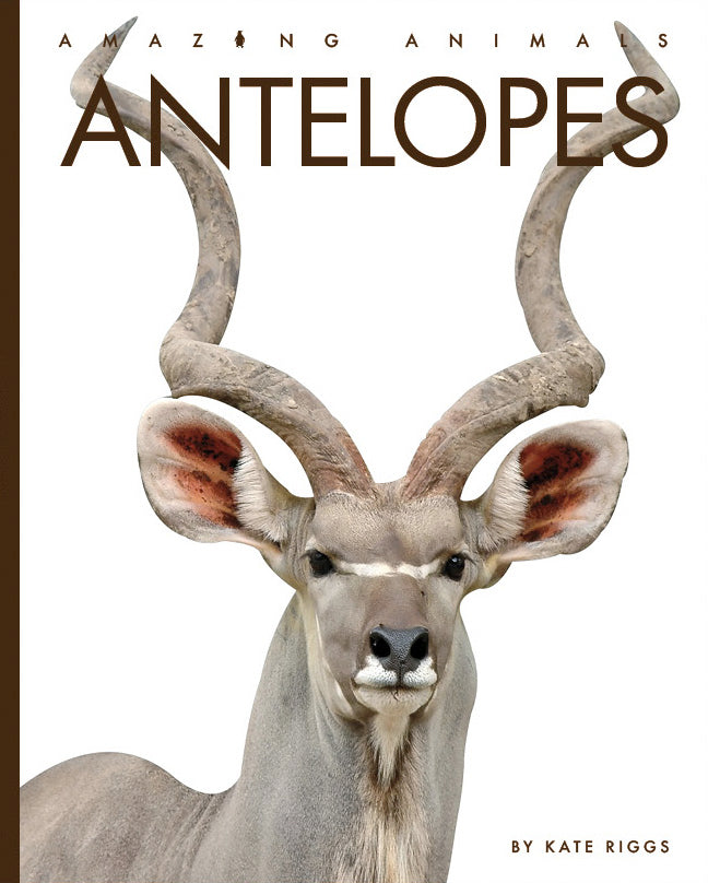Erstaunliche Tiere (2022): Antilopen