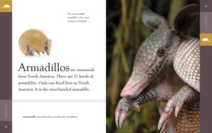 The Fable of the Armadillo 📖 - Fable Pets