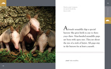 Laden Sie das Bild in den Galerie-Viewer, Erstaunliche Tiere (2022): Gürteltiere
